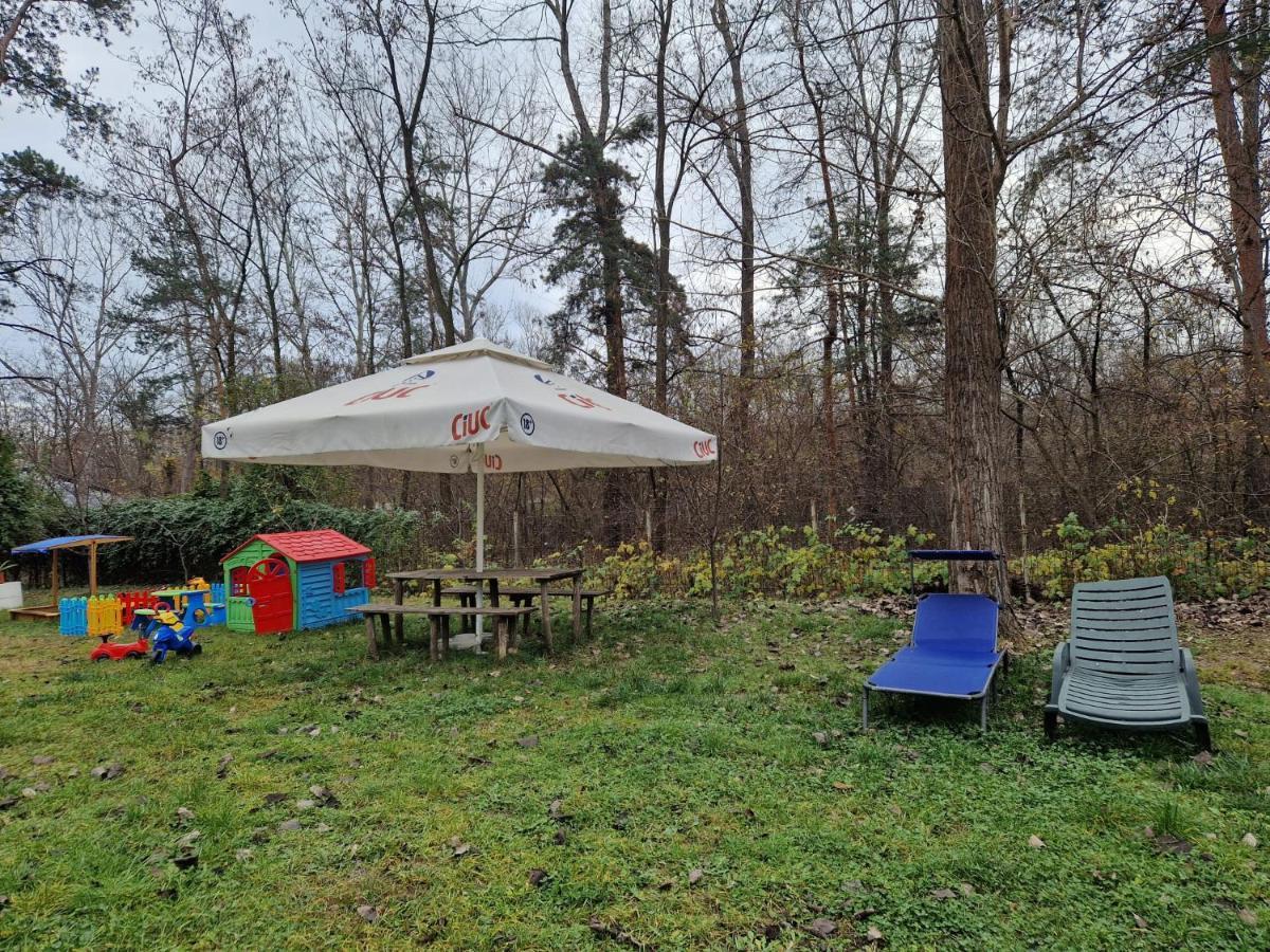 Pensiunea Carpe Diem Râmnicu Vâlcea 외부 사진